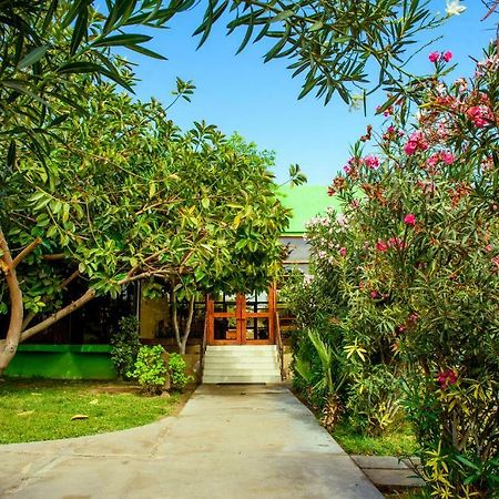 Hotel Del Valle Azapa アリカ エクステリア 写真