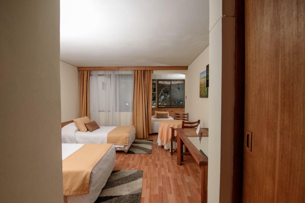Hotel Del Valle Azapa アリカ エクステリア 写真
